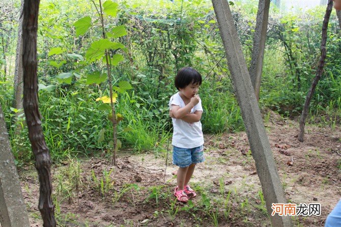 又将一年“六一儿童节”，记忆亲子时光，陪伴是最长情的告白