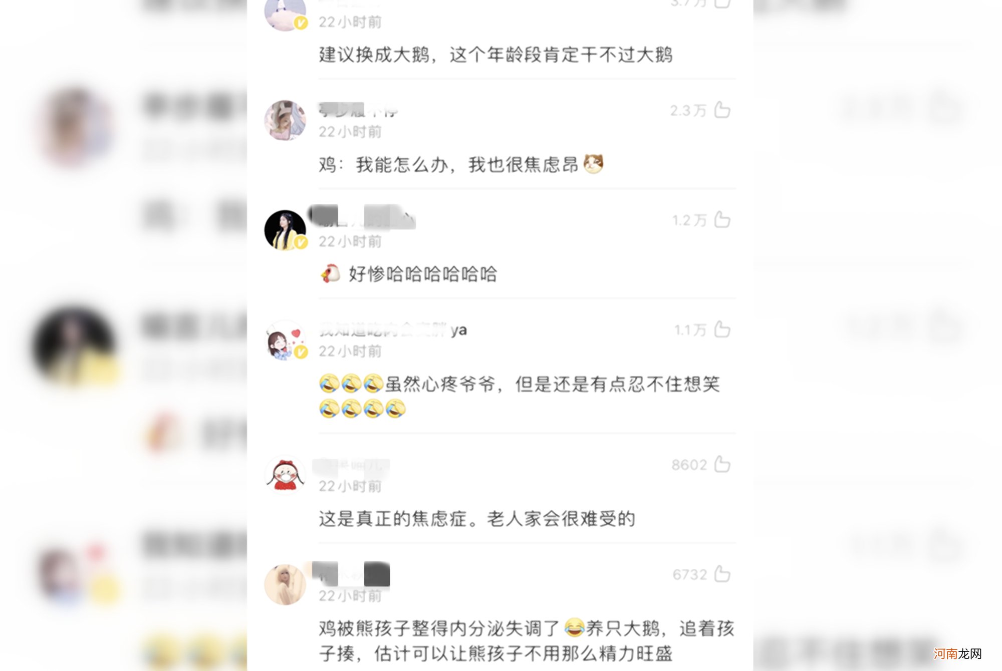 爷爷老家带娃患上焦虑症：一听鸡叫就心慌，隔代亲成“罪魁祸首”