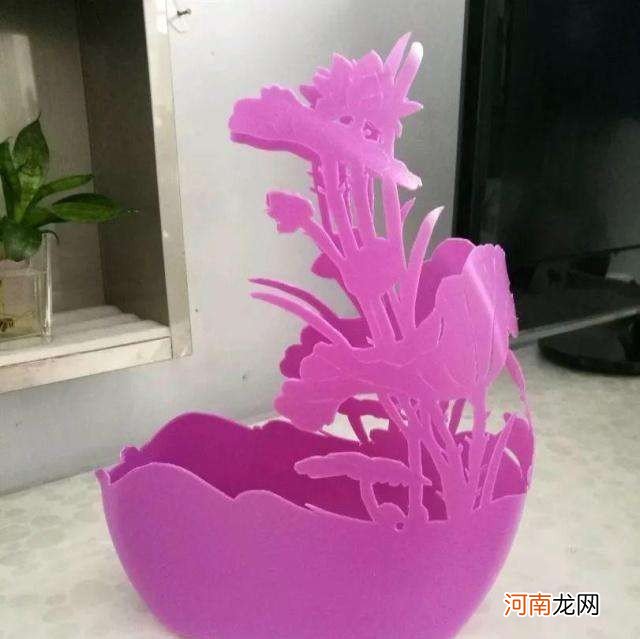洗衣液桶剪几刀就变养花神器 空洗衣液瓶做花盆图案