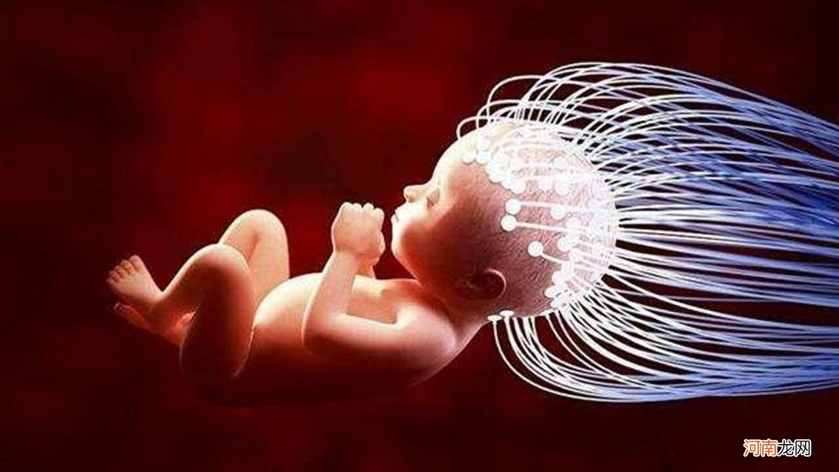 胎儿大脑发育的“黄金期”有两个，孕妈要提早为宝宝的发育做准备
