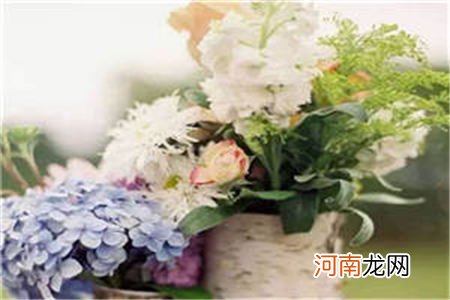 乐可文 乐可小说乐可by金银花露在线阅读