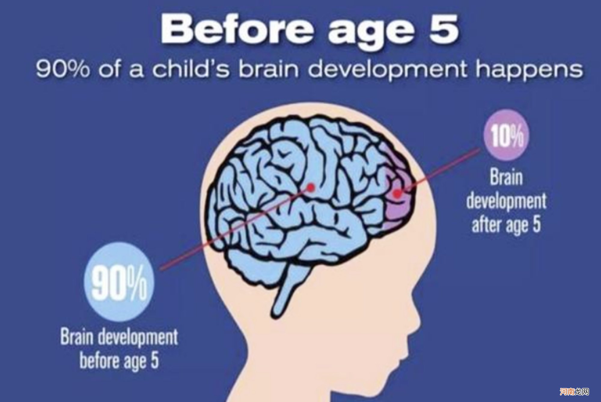 儿童脑智力可实现二次发育？专家告诉你：别错过大脑开发三个阶段