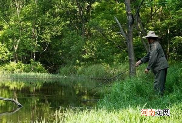 仲秋钓鲫鱼，要用这两种钓法