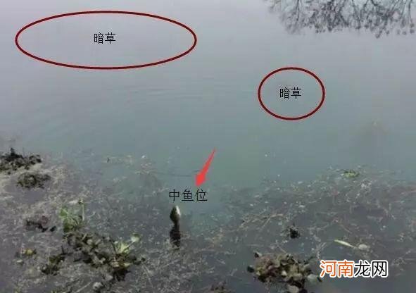 长竿短线钓鲫鱼，这3个重点要抓住