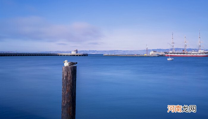 纳土纳海在哪里