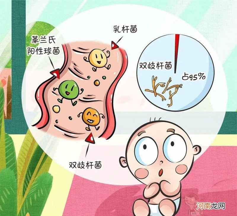 何时补充益生菌 如何正确给宝宝服用益生菌