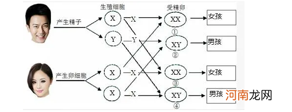 婆婆怪我生不出男娃，我怒怼“这是我能决定的吗？这都怪你儿子”