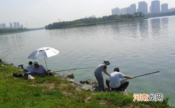 夏季野钓，灵活多变，因鱼施钓