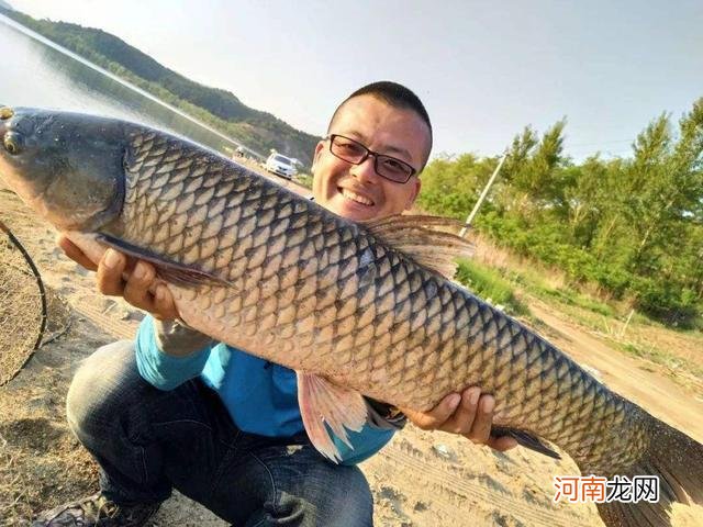 夏天野钓草鱼全攻略，钓位最重要，饵料岸边就有