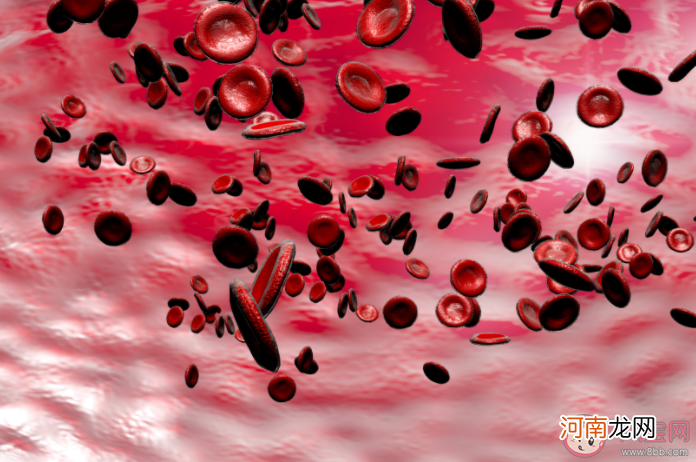 洗血脂|洗血脂能够预防高血脂吗 洗血脂有什么风险