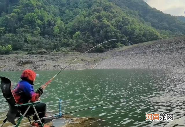 野钓青尾鲴，这么钓鲴鱼正口轻松很多