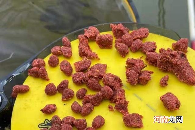 热天不是钓不到大板鲫，只因你没用这钓法