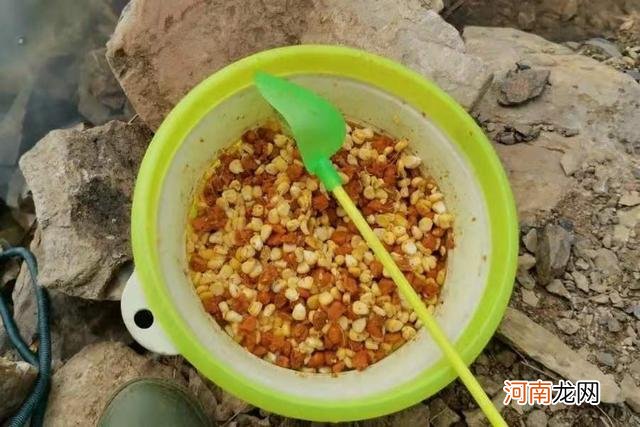 夏天只要换用这钓法，铁定比秋鲤鱼钓更痛快