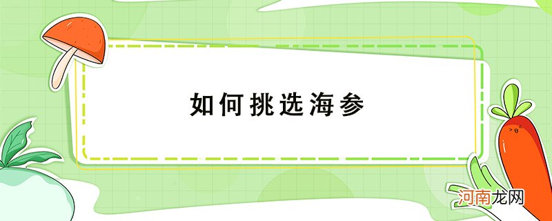 如何挑选海参，海参怎么挑选