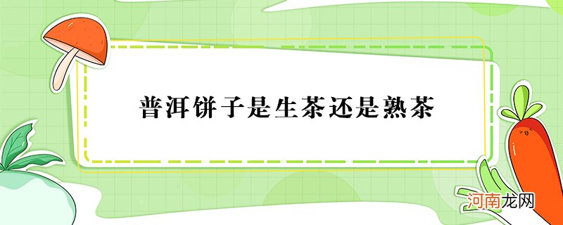 普洱饼是生茶还是熟茶？普洱生茶和熟茶的区别怎么看