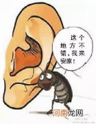 夏季昆虫活跃入耳怎么办