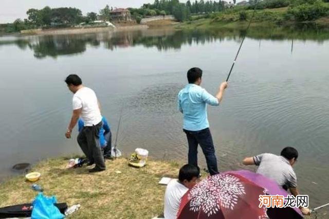 夏天征服鲤鱼，唯独这钓法百用百灵