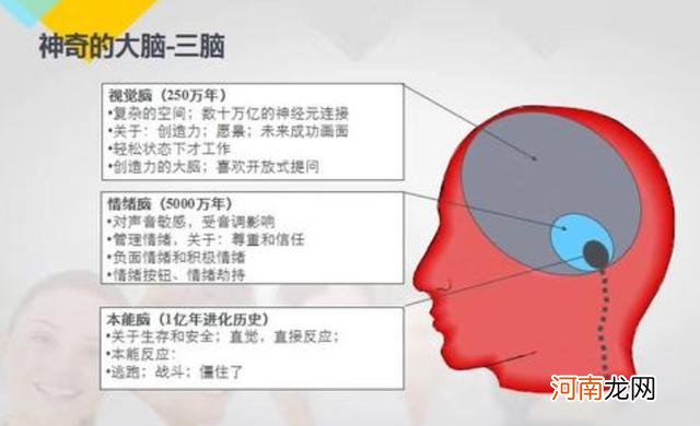 孩子的4种表现，暗示不同的“性格”，你家属于哪种？