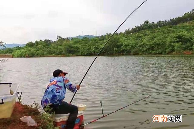 这钓法用上后，鳊鱼再大也难逃一劫