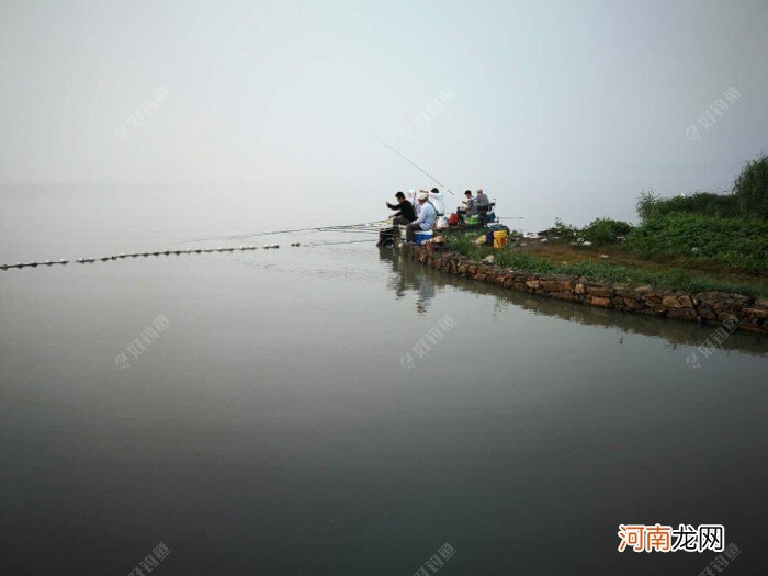 加粗浮漂不会调，参考以下几点，简单实用