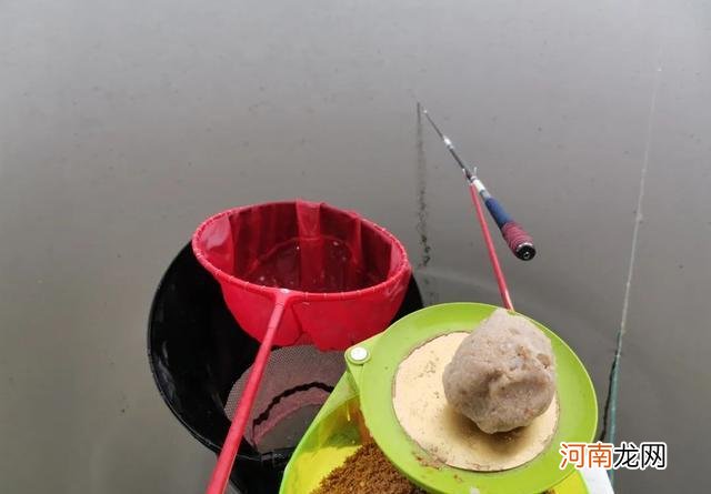 黑坑禁用虾饵怎么办？只需多加一步