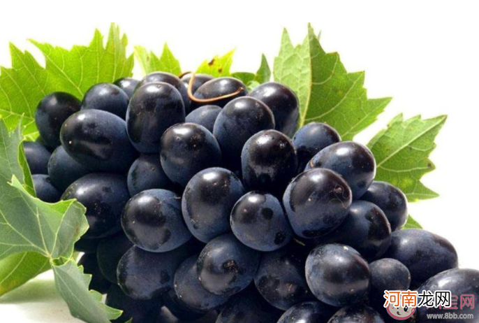 葡萄皮|葡萄皮有什么营养价值 吃葡萄不吐葡萄籽可以美容吗