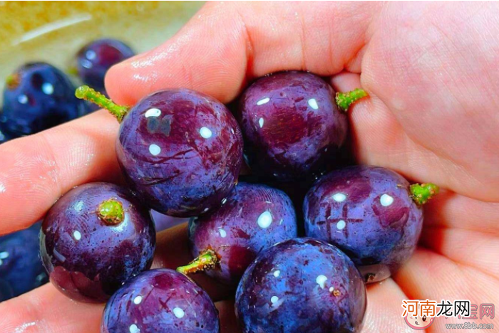 葡萄皮|葡萄皮有什么营养价值 吃葡萄不吐葡萄籽可以美容吗