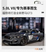 专为赛事而生 福特将打造全新野马GT3优质