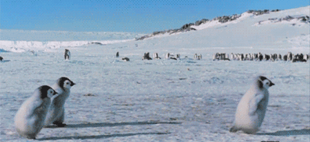 “双减”政策，鸡娃妈妈放大镜，这才是高质量育儿的正确打开方式