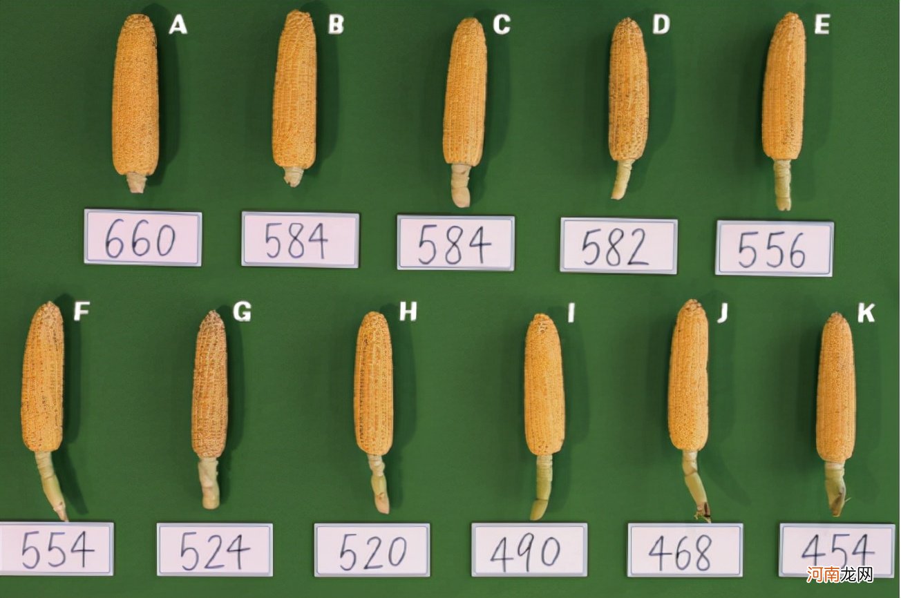 “双减”政策，鸡娃妈妈放大镜，这才是高质量育儿的正确打开方式