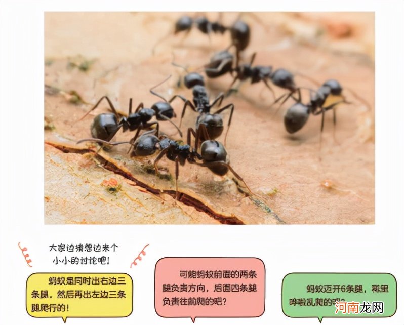 “双减”政策，鸡娃妈妈放大镜，这才是高质量育儿的正确打开方式