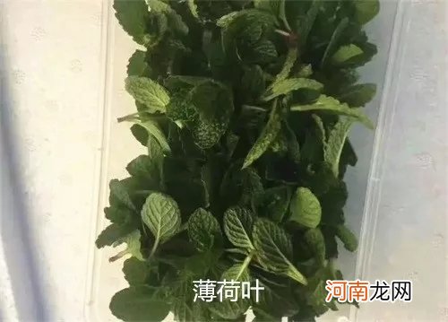 附花草名称 20种盘饰摆设方法，让你的出品更加悦目！