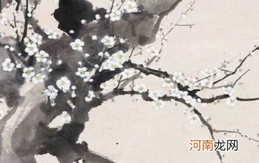 2022年属虎宝宝取什么名字最好 虎年寓意独特魅力的女孩名字