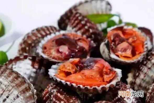 血蛤怎么吃 血蛤如何才能安全食用