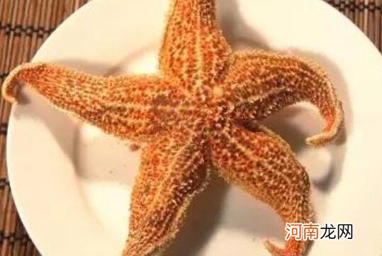 海星的功效与作用 海星的食用方法