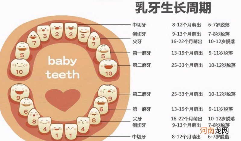 几岁可以把牙齿换完 孩子什么时候开始换牙