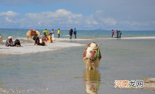 ?去西藏旅游 高原反应头疼的应对方法