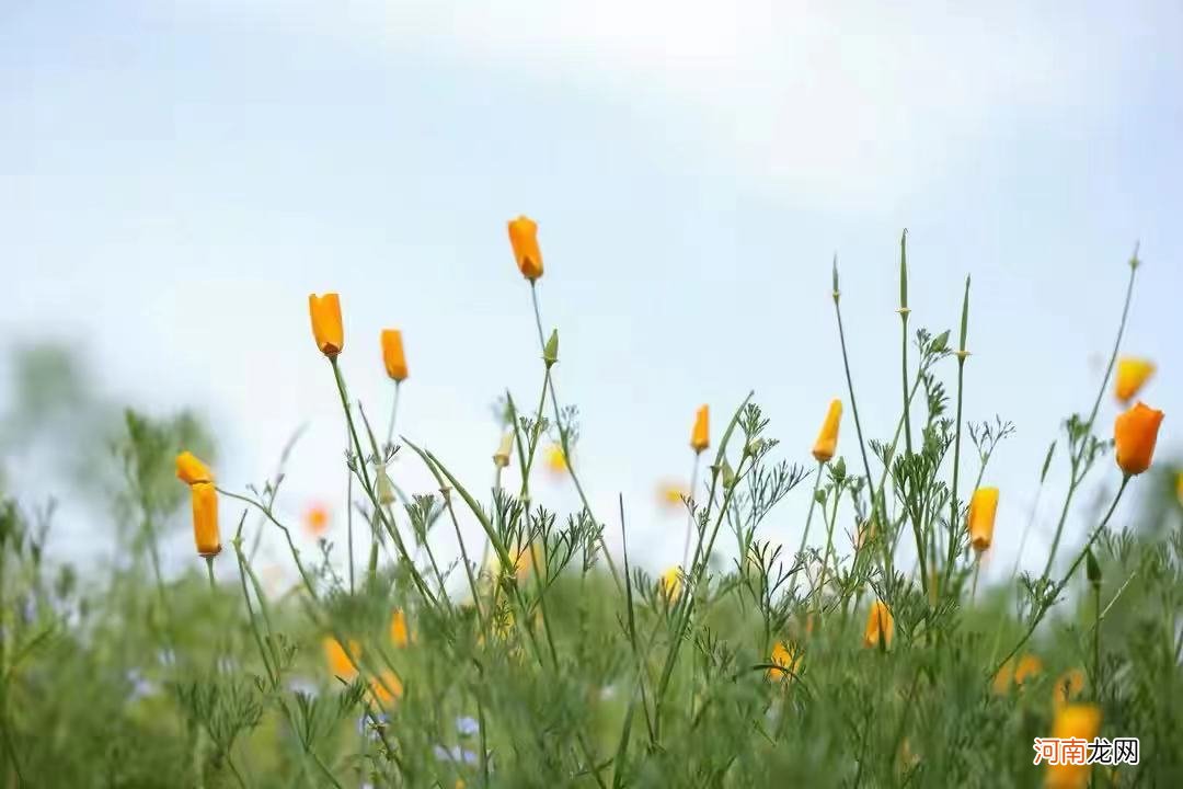 如果你有女儿,请一定要告诉他人生4个“底线”,会一生受益