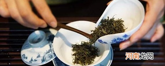 茶应该怎么泡？