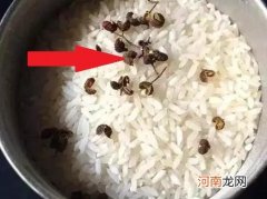 家里大米长虫怎么办？教你一招，轻松解决长虫问题