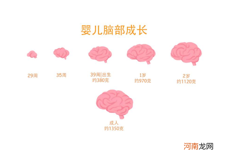 美国心理学家发现：高智商儿童的确有共同点，但并非全靠遗传