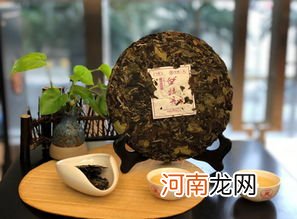 福鼎白茶茶树形态