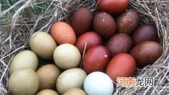 “红皮鸡蛋”更有营养吗？