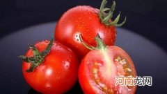 为什么西红柿为是蔬菜而不是水果？