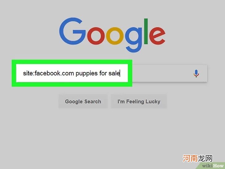 如何使用Google搜索特定网站