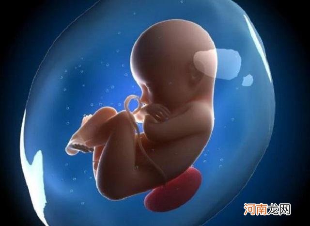 胎儿在肚里传递的4个信号，孕妈接收到几个？越多说明宝宝越聪明