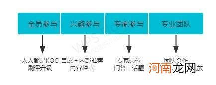 一个成功的KOC有哪些特征？