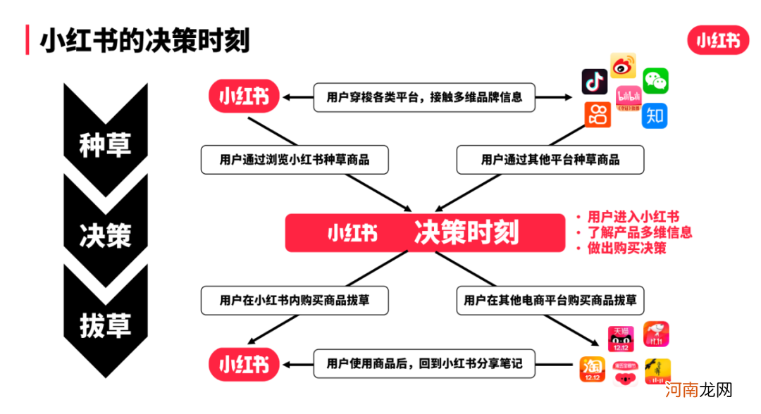 双十一品牌投放攻略：小红书品牌投放节奏攻略