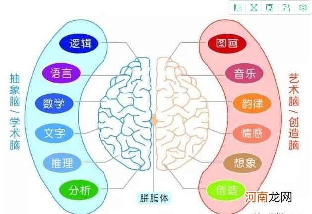 怎样对宝宝进行全脑开发？巧用这7个方法，宝宝越来越聪明