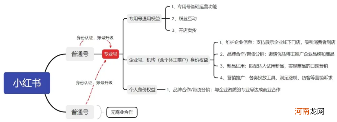 KOL营销新战略！小红书品牌破局“内卷”的发力点在哪里？